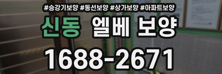 신동 엘베 보양