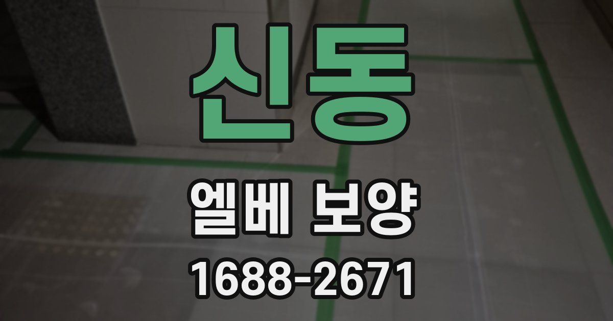 신동 엘베 보양