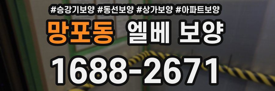 망포동 엘베 보양