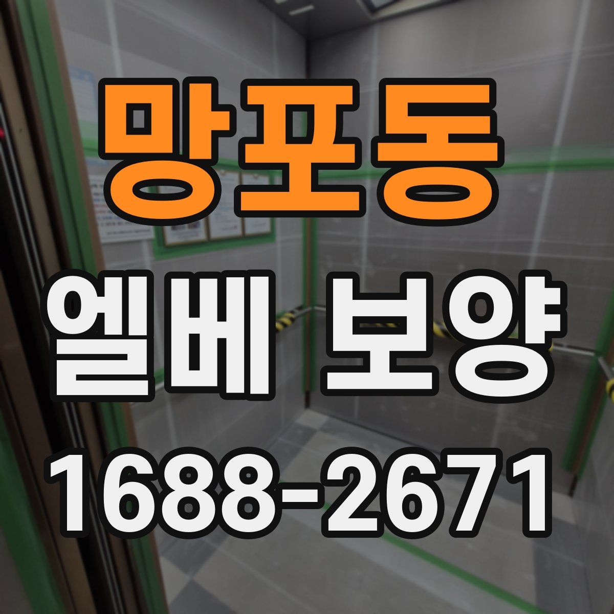 망포동 엘베 보양