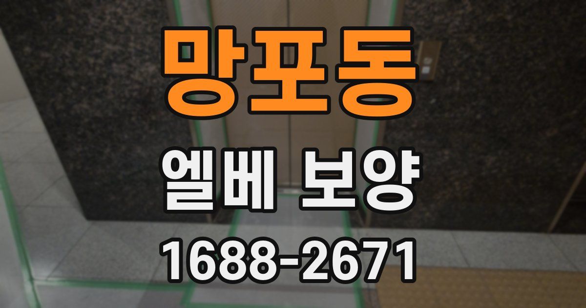 망포동 엘베 보양