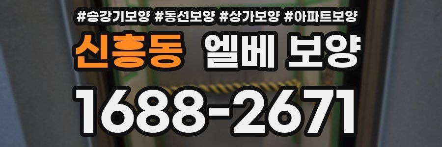 신흥동 엘베 보양