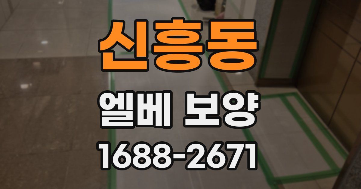 신흥동 엘베 보양