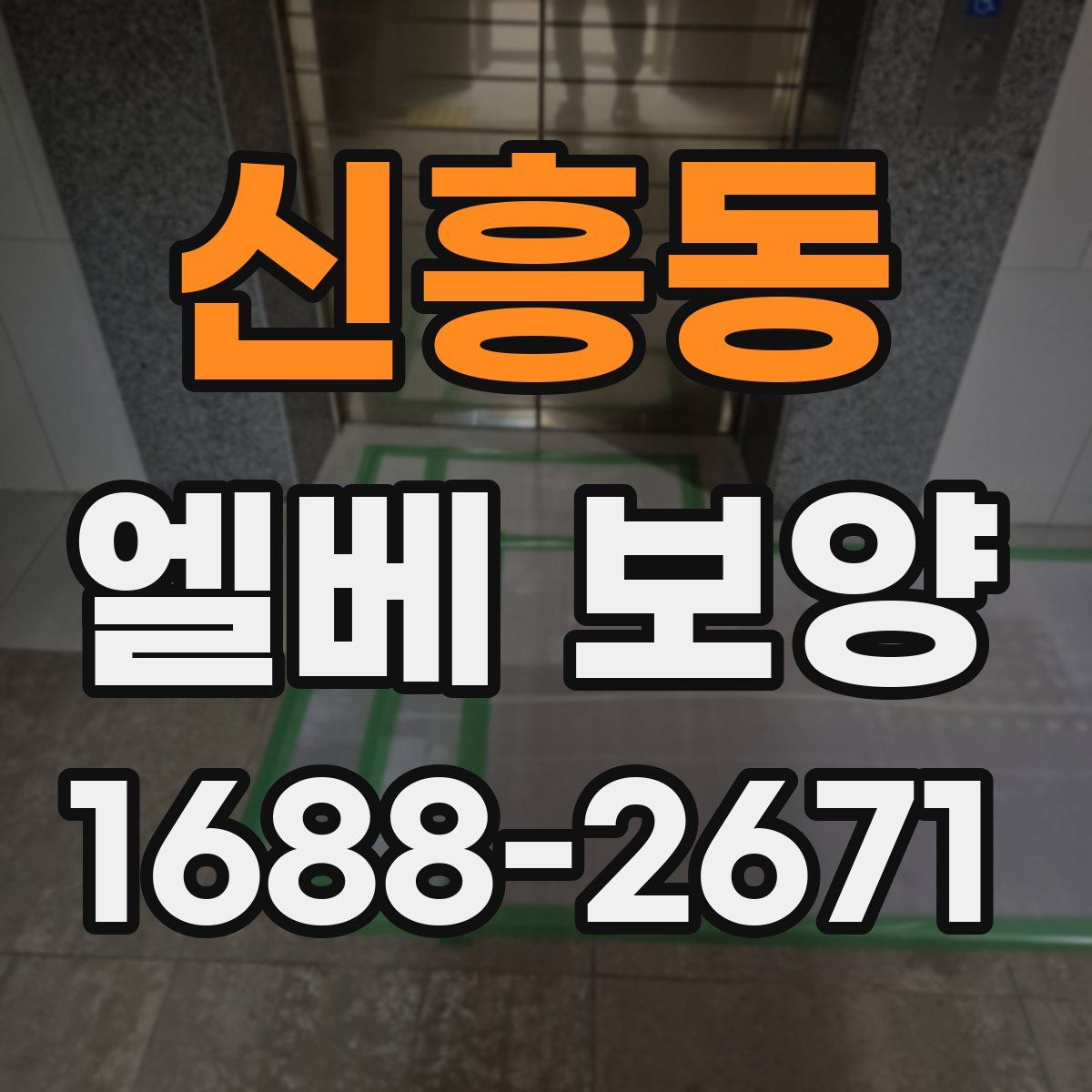 신흥동 엘베 보양