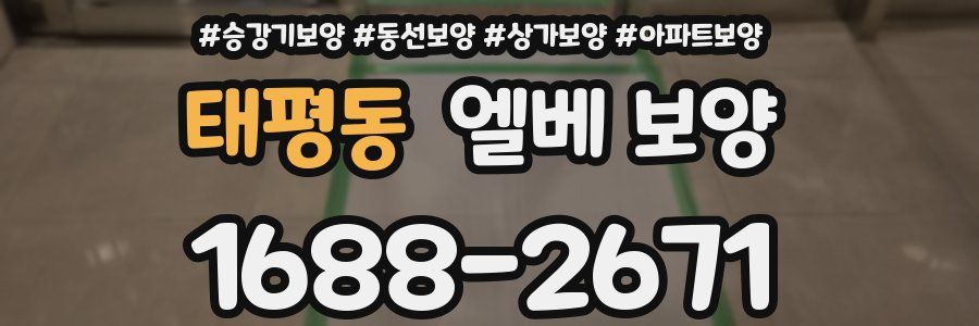 태평동 엘베 보양