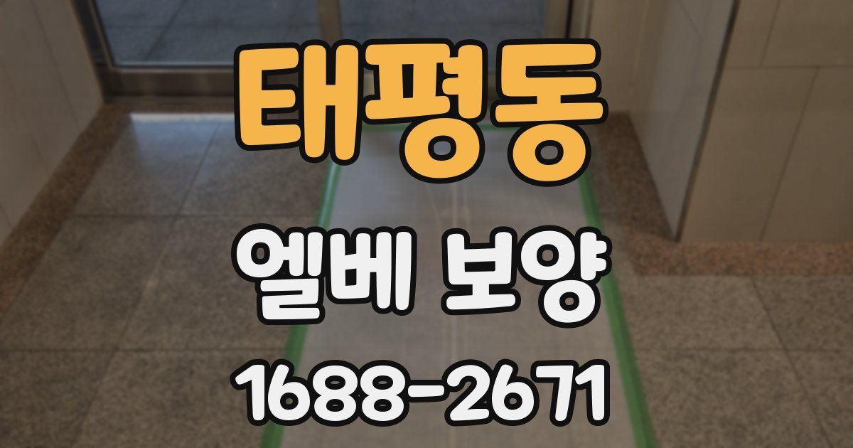 태평동 엘베 보양