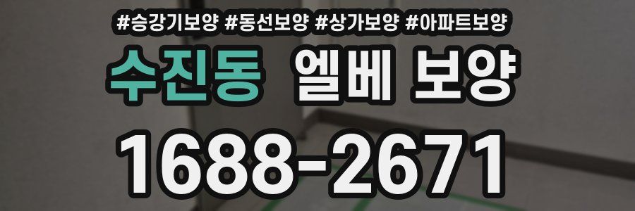 수진동 엘베 보양