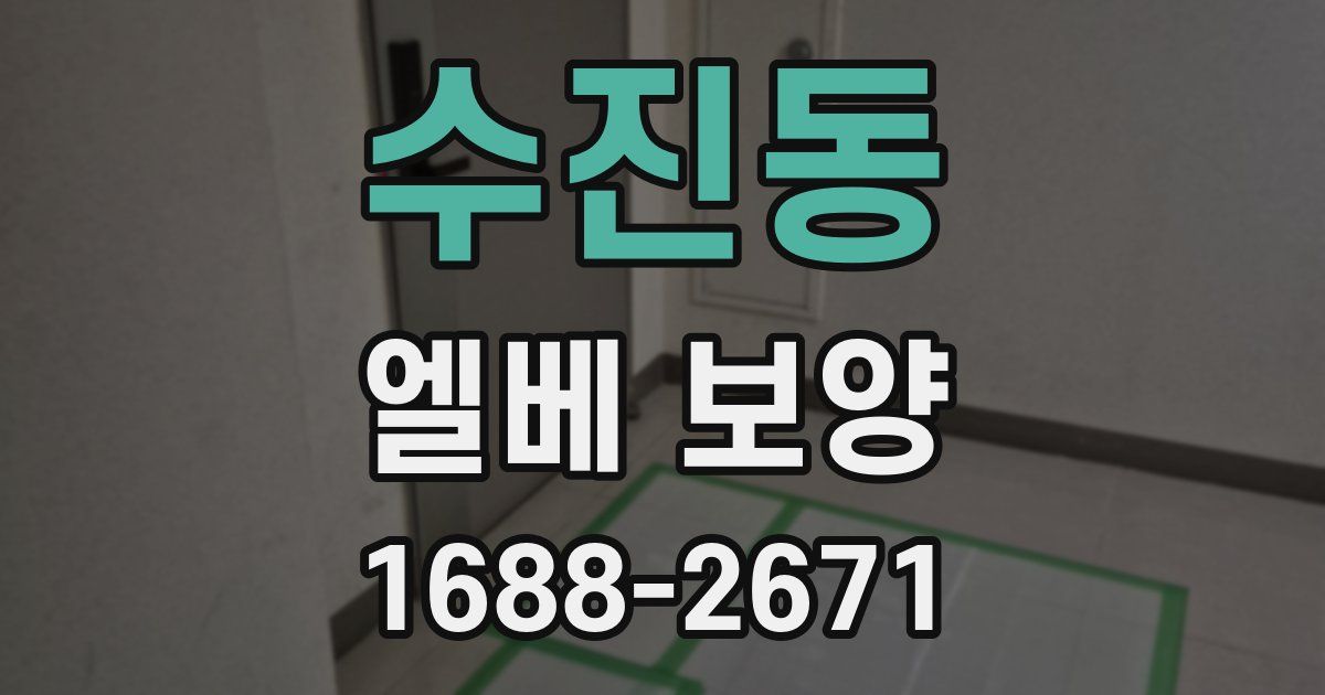 수진동 엘베 보양