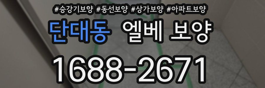 단대동 엘베 보양