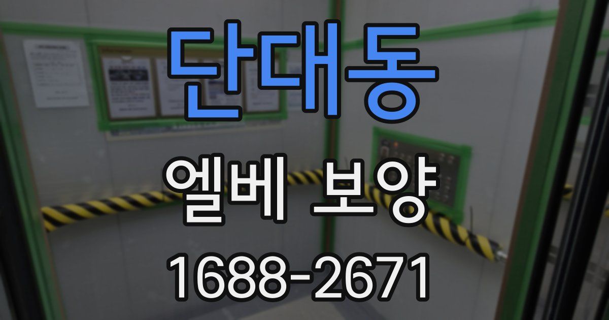 단대동 엘베 보양