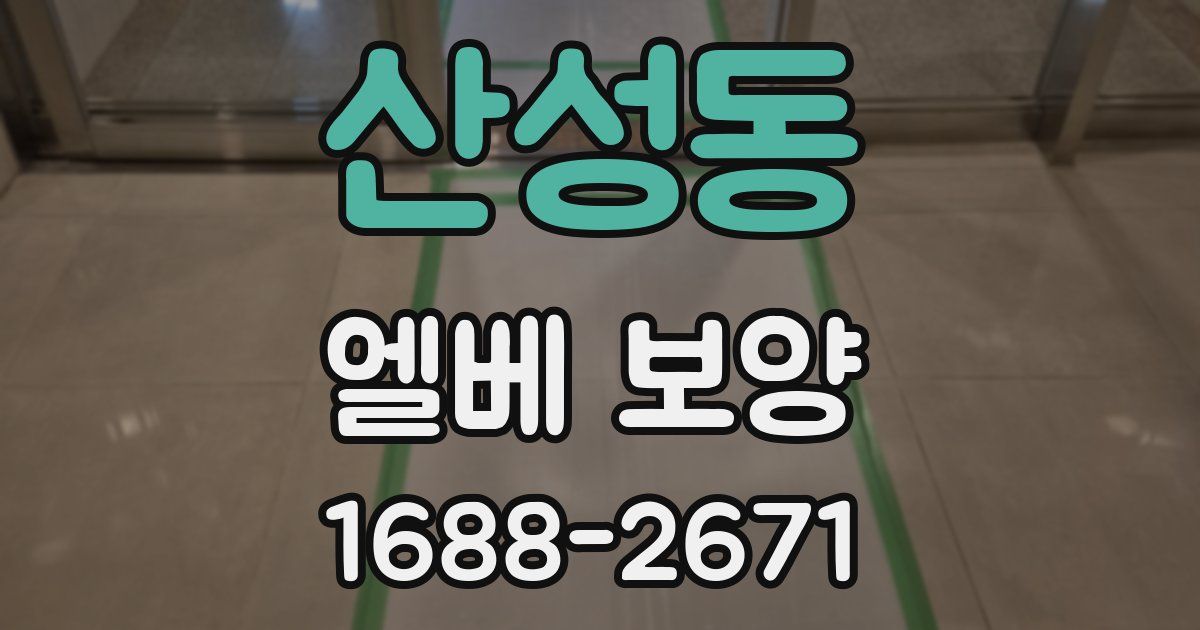 산성동 엘베 보양
