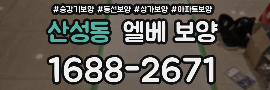 산성동 엘베 보양