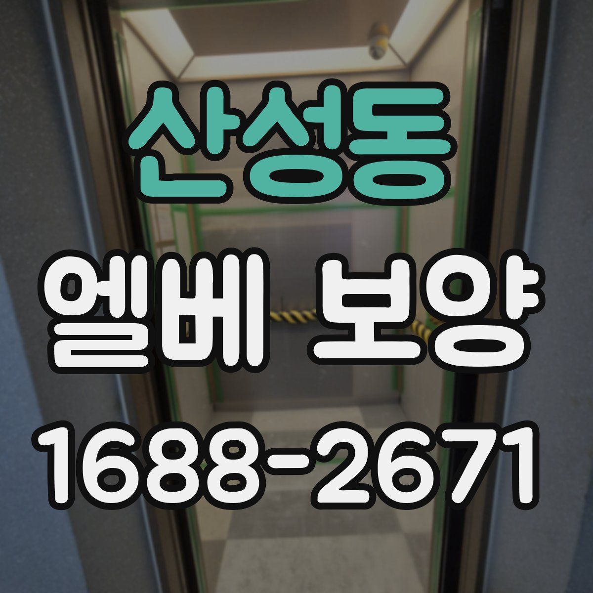 산성동 엘베 보양