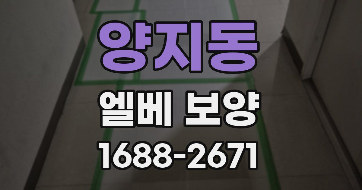양지동 엘베 보양
