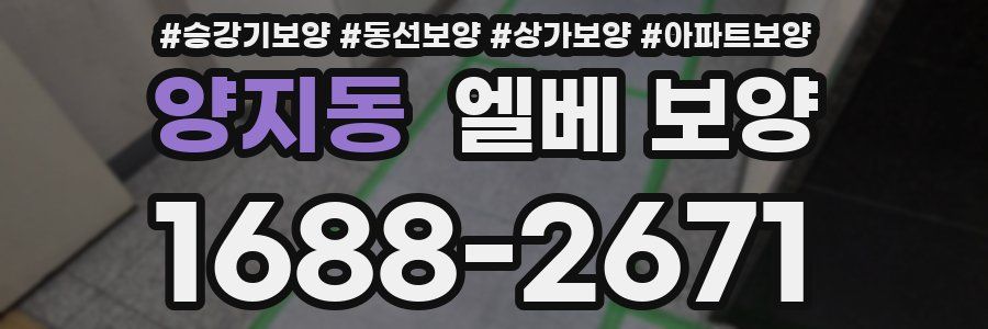양지동 엘베 보양