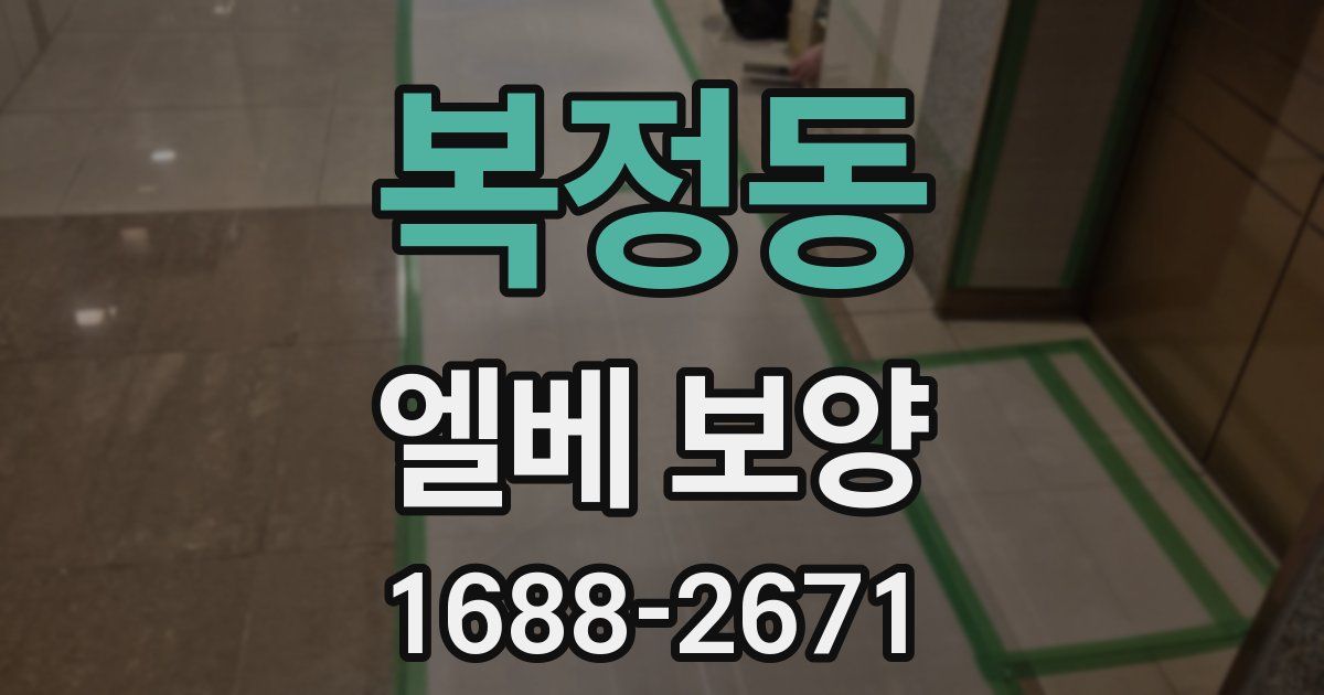 복정동 엘베 보양