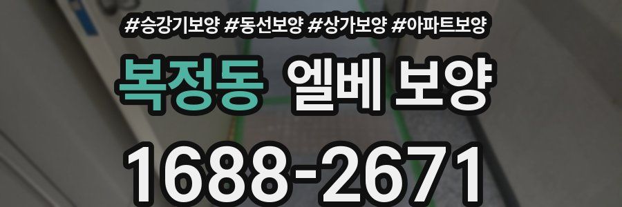 복정동 엘베 보양