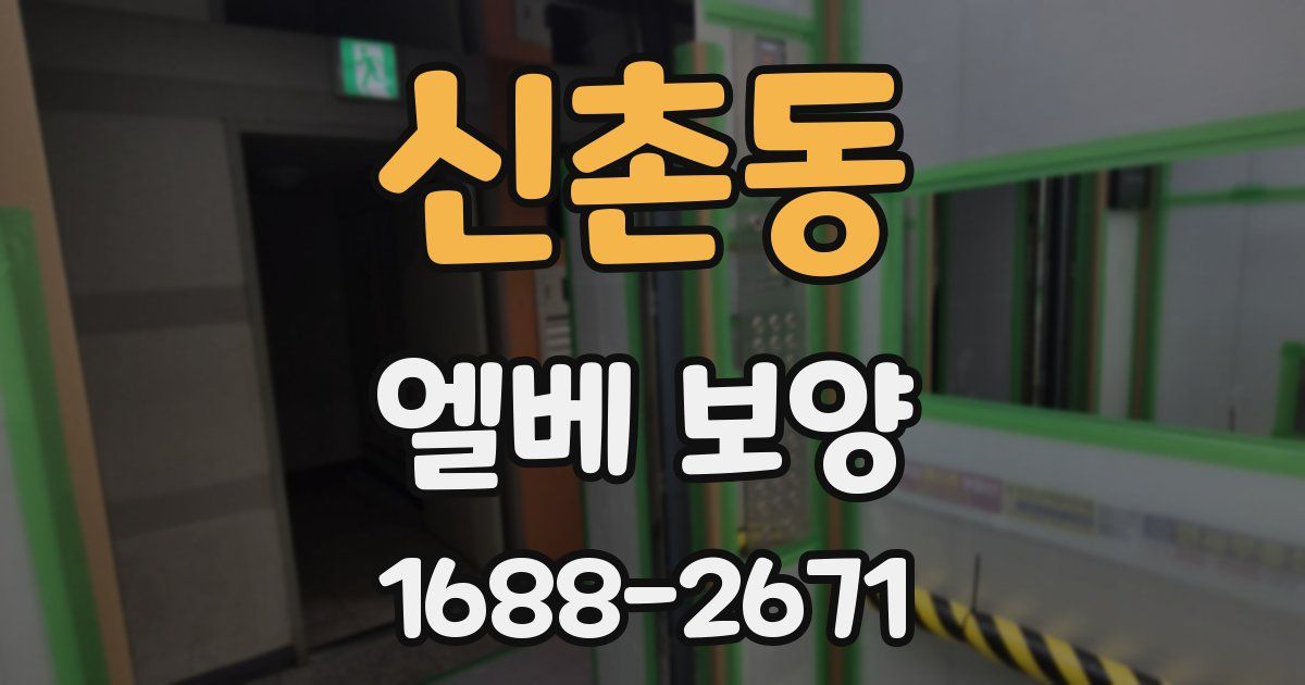 신촌동 엘베 보양