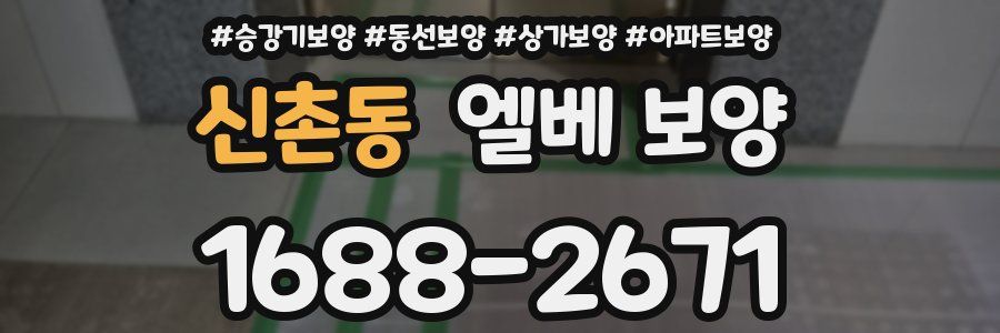 신촌동 엘베 보양