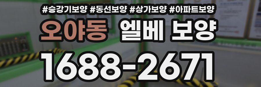 오야동 엘베 보양