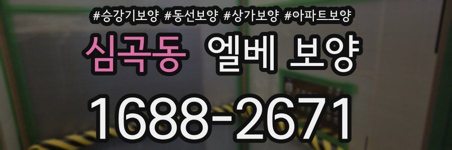 심곡동 엘베 보양