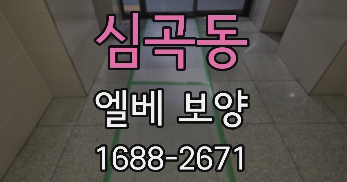 심곡동 엘베 보양