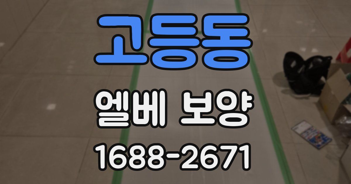고등동 엘베 보양