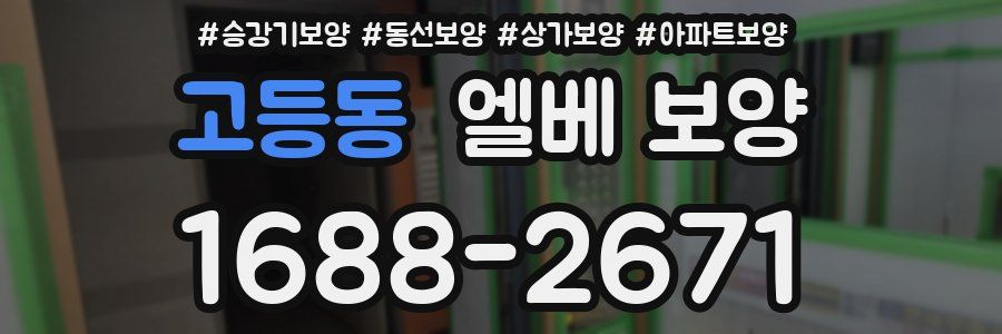고등동 엘베 보양