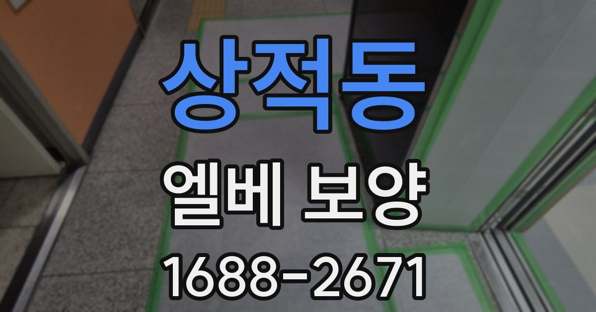 상적동 엘베 보양