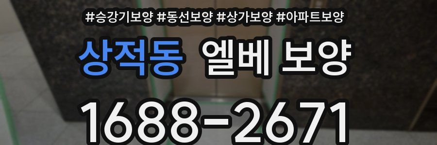 상적동 엘베 보양