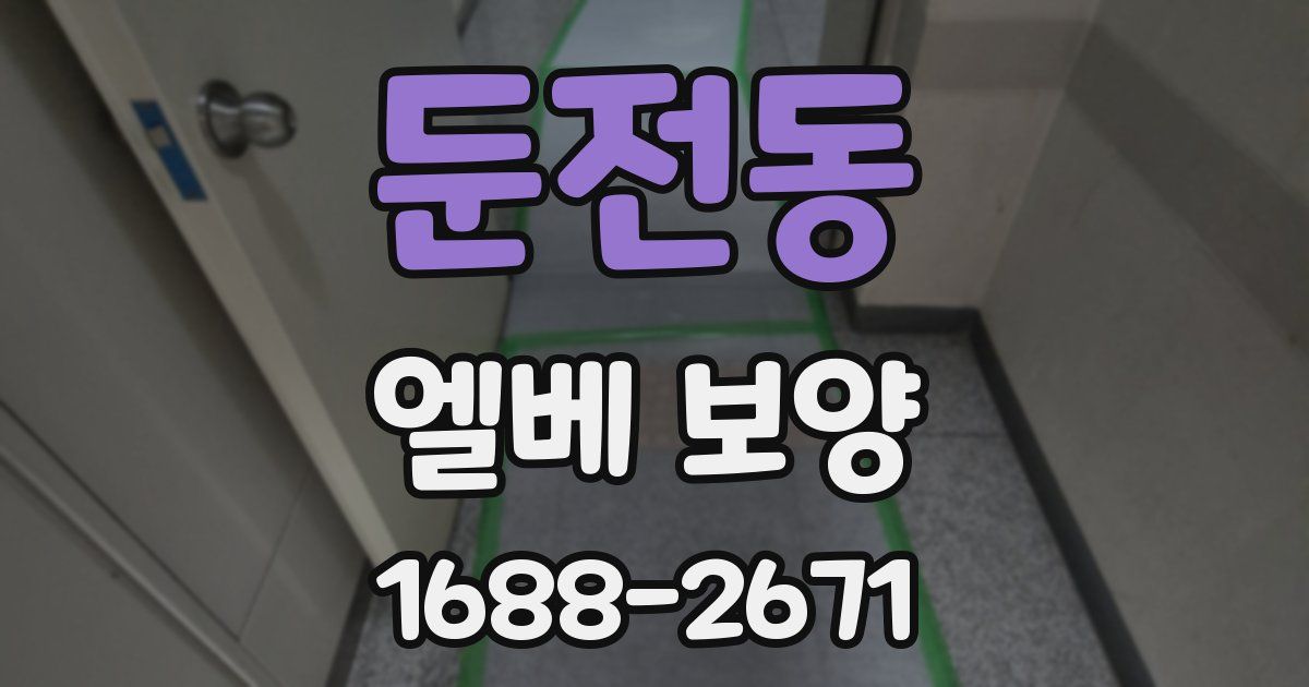 둔전동 엘베 보양