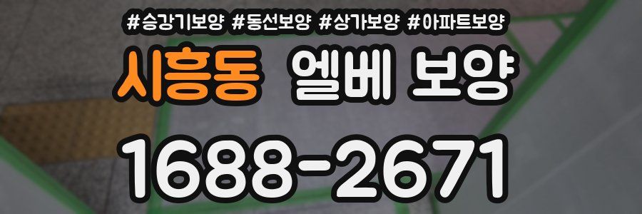 시흥동 엘베 보양