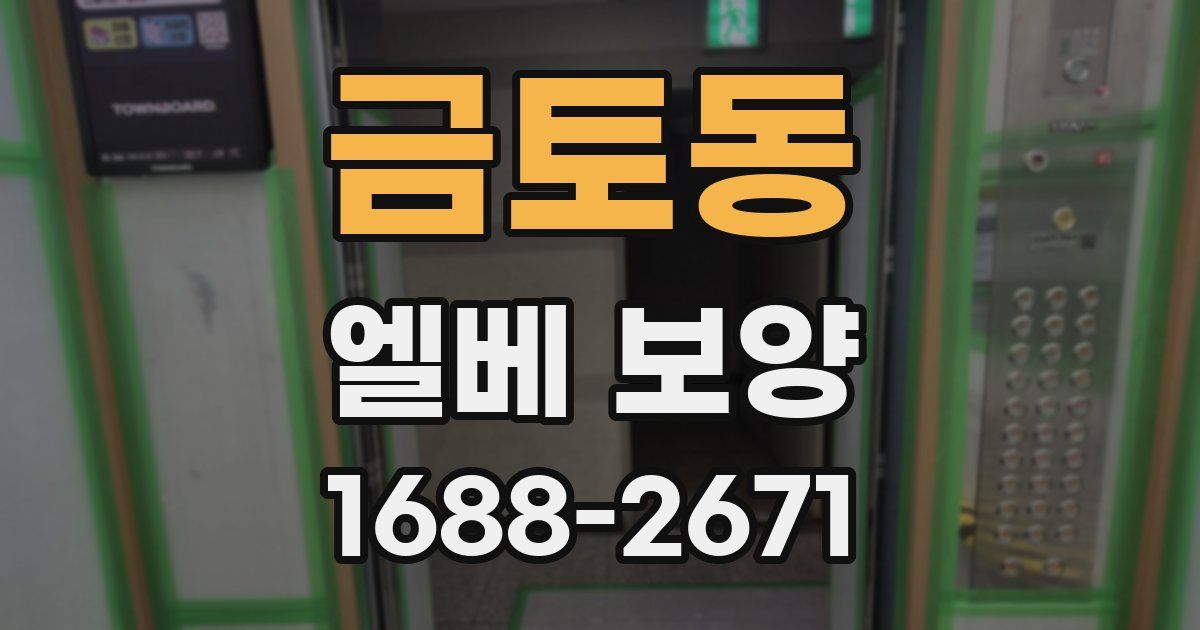 금토동 엘베 보양