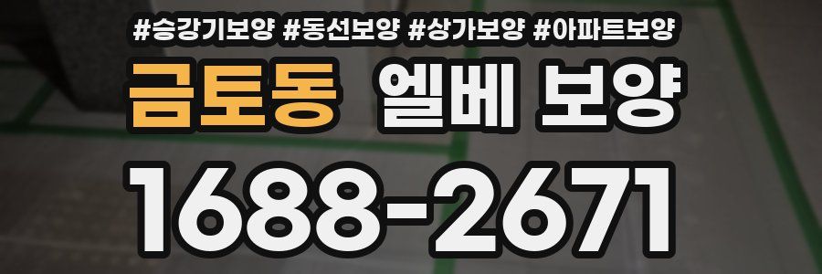 금토동 엘베 보양