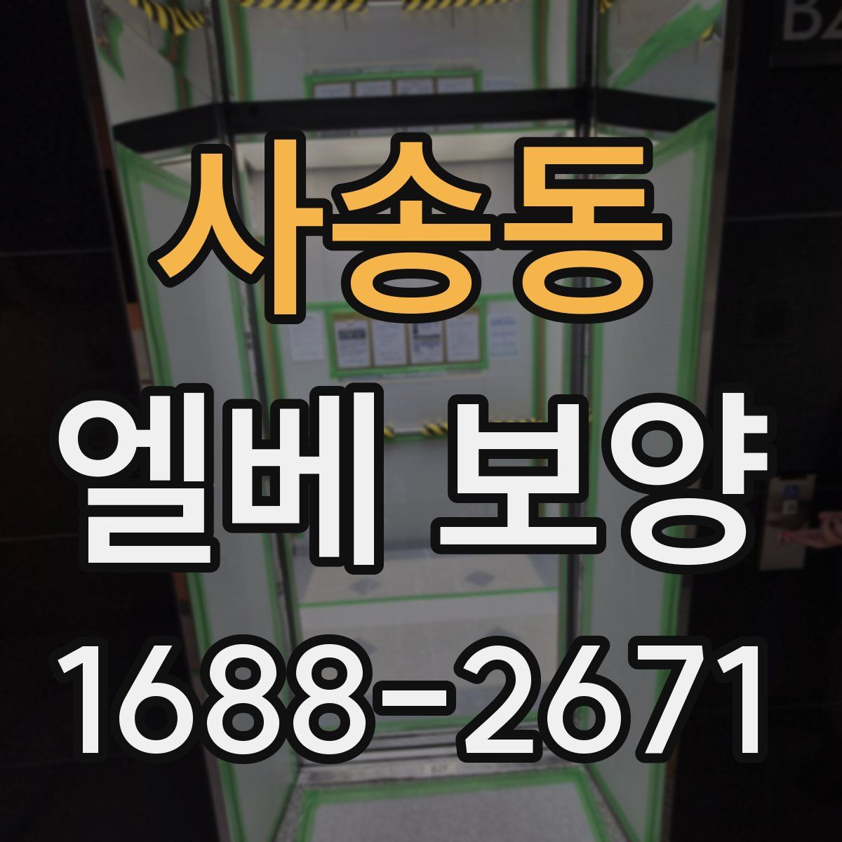 사송동 엘베 보양