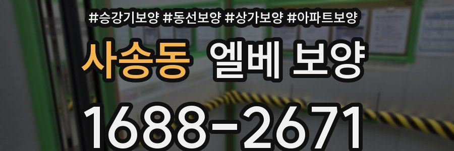 사송동 엘베 보양