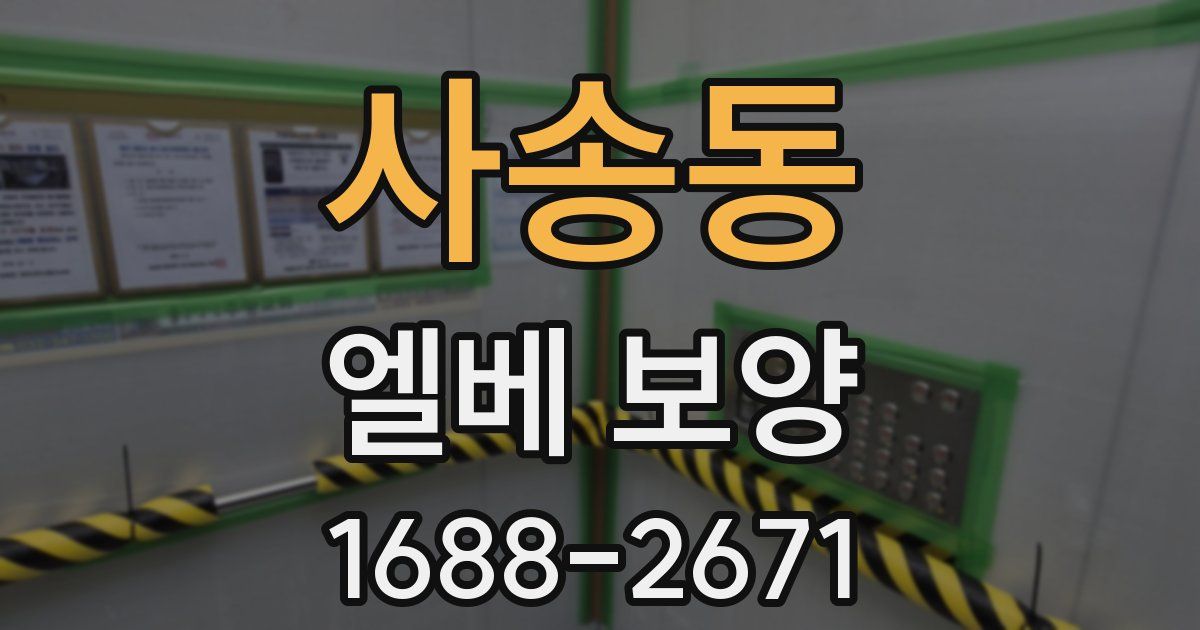 사송동 엘베 보양