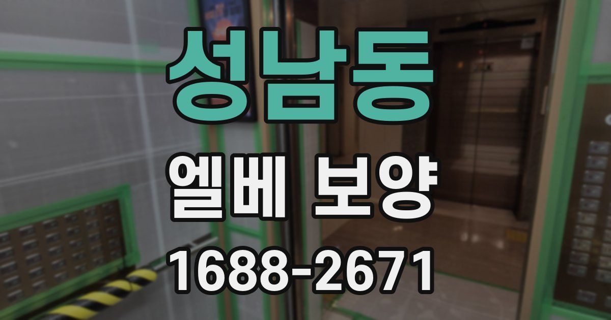 성남동 엘베 보양