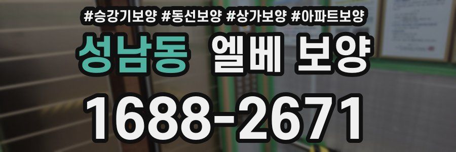 성남동 엘베 보양