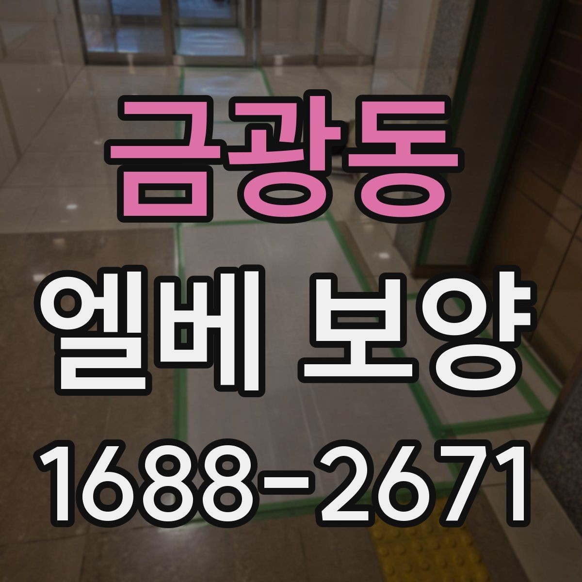 금광동 엘베 보양 승강기 내부와 출입부를 나눠 보는 방법