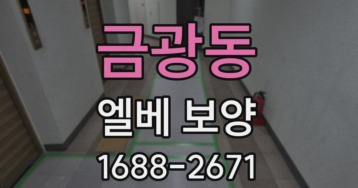 금광동 엘베 보양