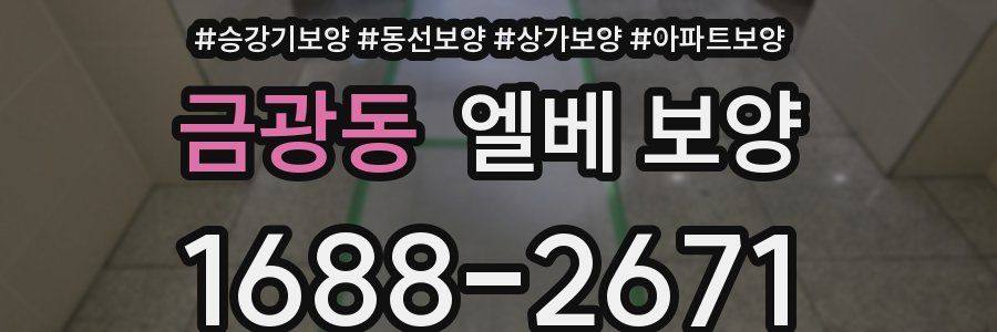 금광동 엘베 보양