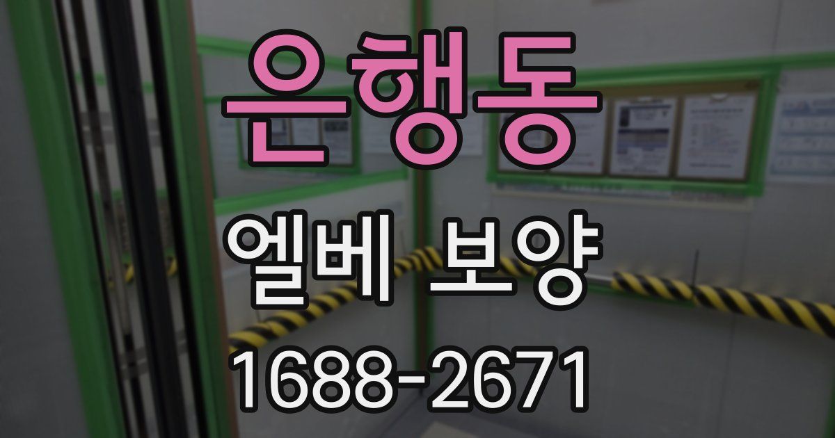 은행동 엘베 보양