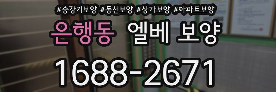 은행동 엘베 보양