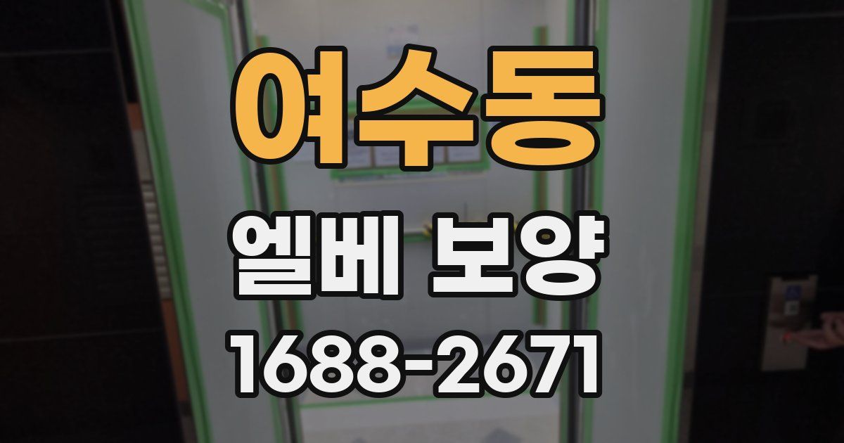여수동 엘베 보양