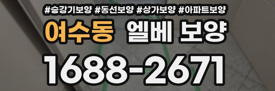 여수동 엘베 보양