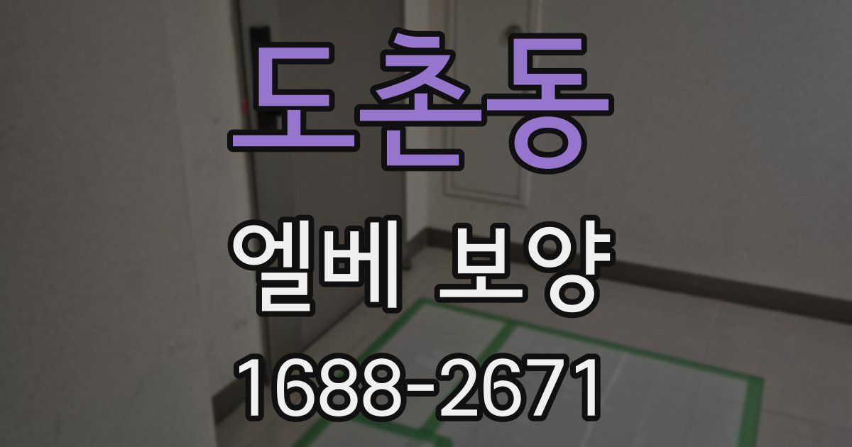 도촌동 엘베 보양
