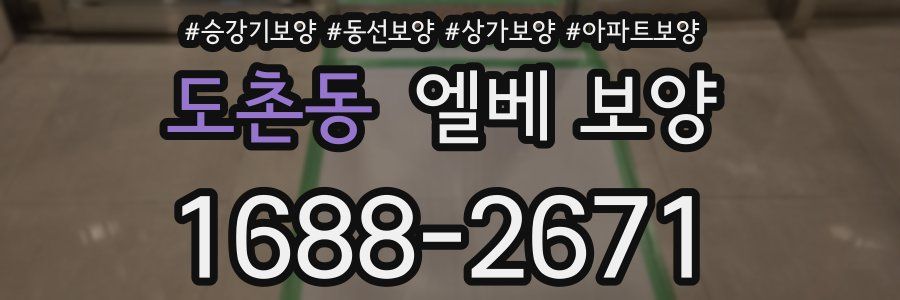 도촌동 엘베 보양