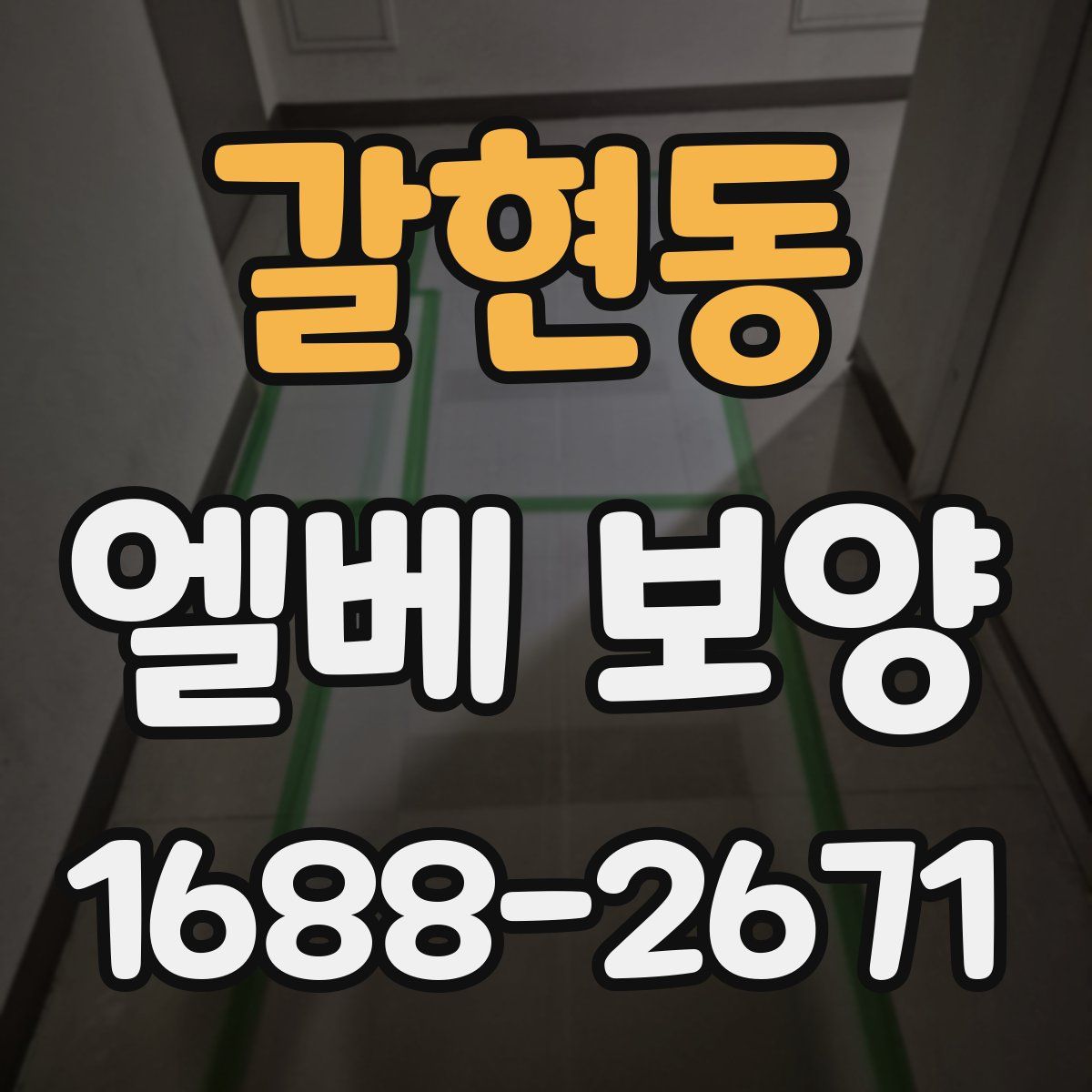 갈현동 엘베 보양