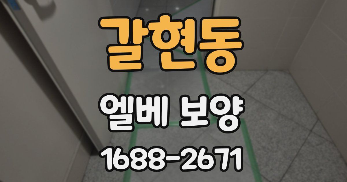 갈현동 엘베 보양